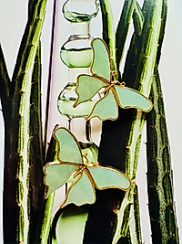 Papira
