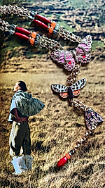 Bozkır kelebeği