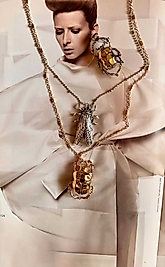 Kanat ve Zırh Özel Tasarım Kolye & Küpe